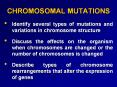 CHROMOSOMAL MUTATIONS Identify several types of mutation