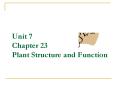 Unit 7 Chapter 23 Plant Structure and Function Plant Tissue