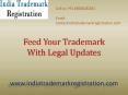 Feed Your Trademark With Legal Updates