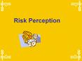 Risk Perception The fundamental dilemma of health ris