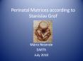 Perinatal Matrices according to Stanislav Grof M rio Resend