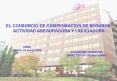 el consorcio de compensacion de seguros: activida
