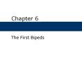 Chapter 6 The First Bipeds Chapter Outline What Is th