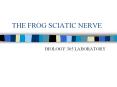 THE FROG SCIATIC NERVE BIOLOGY 305 LABORATORY ANNOUNCEMENT