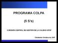 PROGRAMA COLPA (5 S s) COMISI N CENTRAL DE GESTI N DE L
