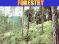 Sources of Nonpoint Source Water Pollution in forestry an