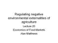 Regulating negative environmental externalities o