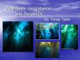 Kelp Beds: Importance and Dynamics By: Tanay Tailo