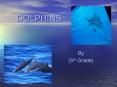 DOLPHINS By (5th Grade) * * * * * * * * * Biome Dolphin