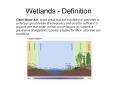 Wetlands - Definition Clean Water Act: those areas that ar