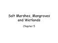 Salt Marshes, Mangroves and Wetlands Chapter 5 Salt marshe