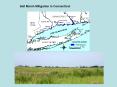 Salt Marsh Mitigation in Connecticut * Typical salt mars