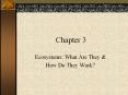 Chapter 3 Ecosystems: What Are They & How Do They Work