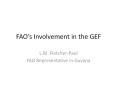 FAO s Involvement in the GEF L.M. Fletcher-Paul FA