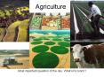 Agriculture Most important question of the day: What s fo