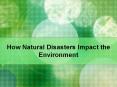 How Natural Disasters Impact the Environment 10 'Worst