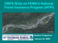 NMFS BiOp on FEMA s National Flood Insurance Program (NFIP