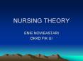 NURSING THEORY ENIE NOVIEASTARI DKKD FIK UI NURSING THEOR
