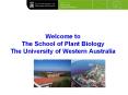 Welcome to The School of Plant Biology The University o