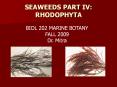 SEAWEEDS PART IV: RHODOPHYTA BIOL 202 MARINE BOTANY FAL