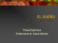 EL SUE O Paula Espinoza Enfermeria en Salud Mental EL SUE 