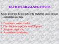 BACILOS GRAM-NEGATIVOS Re ne un grupo heterog neo d