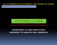 plant disease management for tropical crops: department o