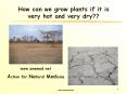 How can we grow plants if it is very hot and very dry?