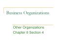 Business Organizations Other Organizations Chapter 8 Sectio
