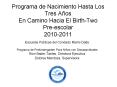 Programa de Nacimiento Hasta Los Tres A os En Camino Haci
