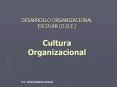 DESARROLLO ORGANIZACIONAL ESCOLAR (D.O.E.) Cultur