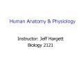 ... embryology cytology histology Physiology Study of th