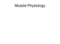 Muscle Physiology Outline Skeletal Muscle Structure Muscl