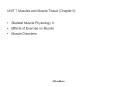 UNIT 7 Muscles and Muscle Tissue (Chapter 9) Skeletal Muscl