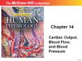 Chapter 14 Cardiac Output, Blood Flow, and Blood Pressur