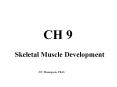 CH 9 Skeletal Muscle Development J.F. Thompson, Ph.D