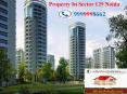 Property in Sector 129 Noida Peaceful Apartment Call @ 9999998662