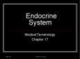 Endocrine System Medical Terminology Chapter 17 Function Th