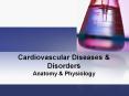 Anatomy & Physiology Anemia Insufficient erythrocytes (re