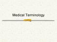 Medical Terminology Anatomical Position Standing erect, wit