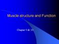 Muscle structure and Function Chapter 9 & 10 Muscle Overvie