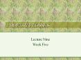 PROPERTY LOSSES Lecture Nine Week Five FIXED PROPERTY Lan