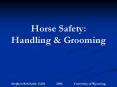 Handling & Grooming Stephen R Schafer, EdD 2006 Universit