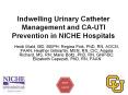 Indwelling Urinary Catheter Management and CA-UTI Preventio