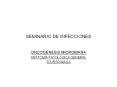 seminario de infecciones oncog nesis microbiana anatom 