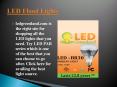 LED Flood Lights