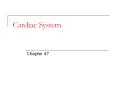Cardiac System Chapter 47 The Heart Heart This organ is th