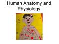 Human Anatomy and Physiology Anatomical Position