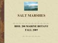 SALT MARSHES BIOL 200 MARINE BOTANY FALL 2009 WHAT ARE SAL