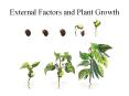 External Factors and Plant Growth Plant Growth Regulator